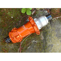 SOUL-Kozak M-Netic 142  SS X12